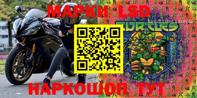 твердый Будённовск