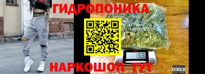 твердый Будённовск