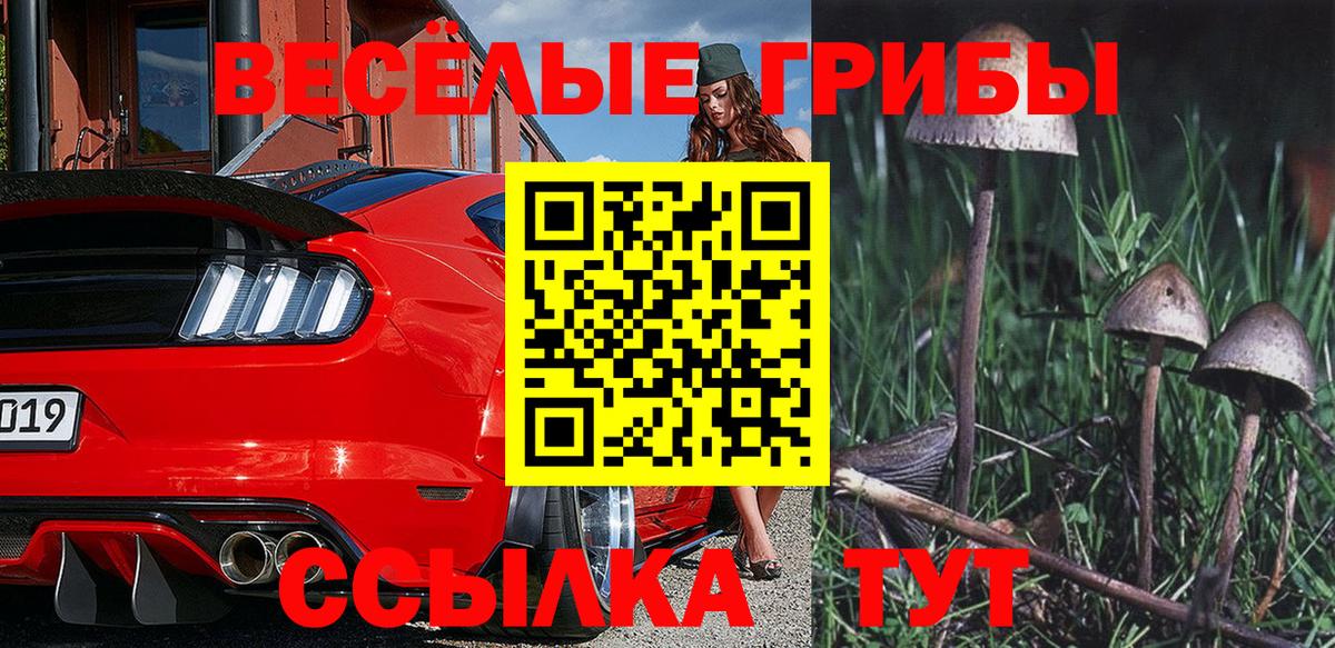 Галлюциногенные грибы прущие грибы Луховицы